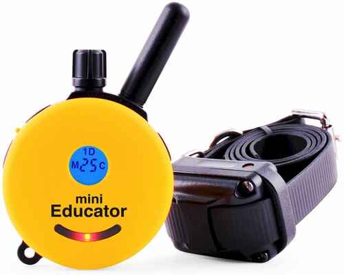 #1. EDUCATOR Mini-Ergonomic Small Receiver Remote E-Collar Dog Training Collar (Yellow)