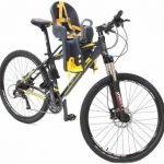 The 10 Best Mounted Child Bicycle Carriers of 2024