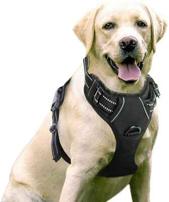 #3. Rabbitgoo No-Pull Adjustable Tactical Dog Harness Vest Large w/Handle w/Leash Clips for Walking