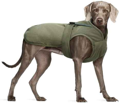 #5. KUOSER Leash Small Medium Large Water-Repellent Canvas Cold Weather Dog Coat