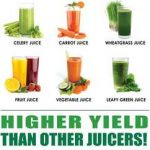 The 10 Best Cold Press Juicers of 2024