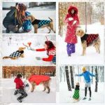 The 10 Best Dog Cold Weather Coats of 2024