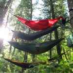 The 10 Best Camping Hammocks of 2024